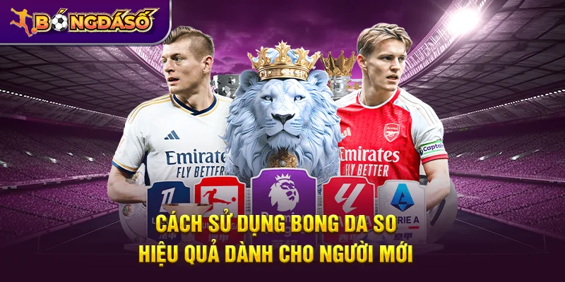 Bongdaso - Tỷ Số Bóng Đá, KQBD, Lịch Thi Đấu & Dữ Liệu Trận Đấu 24/7 20 Cách sử dụng Bongdaso hiệu quả dành cho người mới