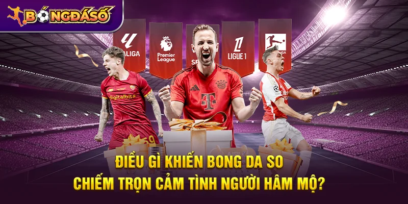 Bongdaso - Tỷ Số Bóng Đá, KQBD, Lịch Thi Đấu & Dữ Liệu Trận Đấu 24/7 18 Điều gì khiến Bongdaso chiếm trọn cảm tình người hâm mộ?